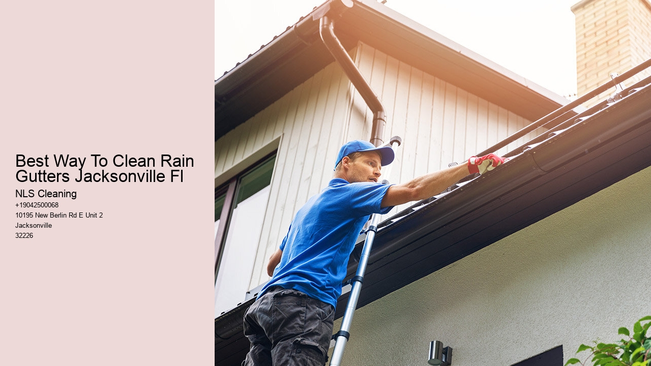 Best Way To Clean Rain Gutters Jacksonville Fl