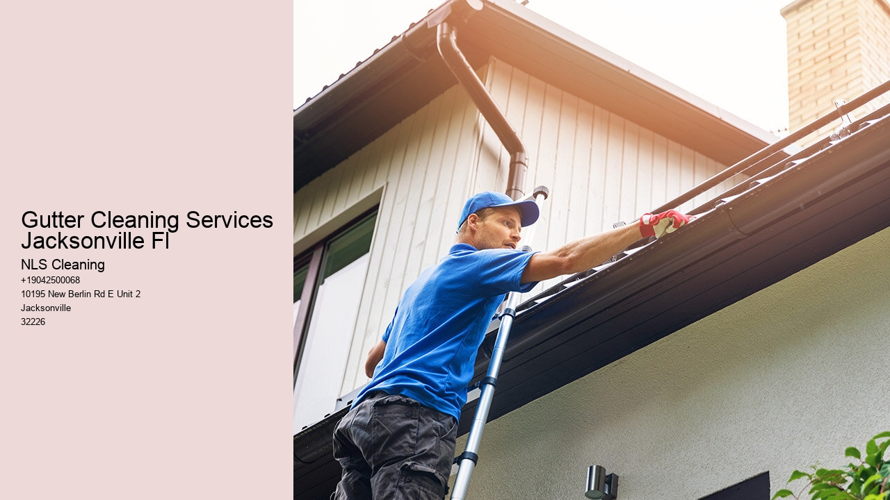 Gutter Cleaning Services Jacksonville Fl
